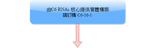 AAV客製化服務連結(C6-16)