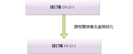 AAV客製化服務連結(C6-22)